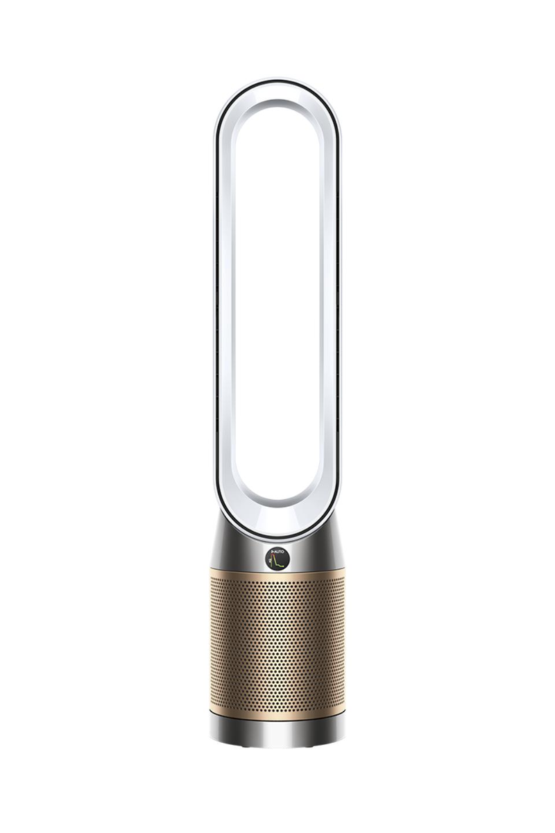 Dyson Purifier Cool PC2 De-NOx